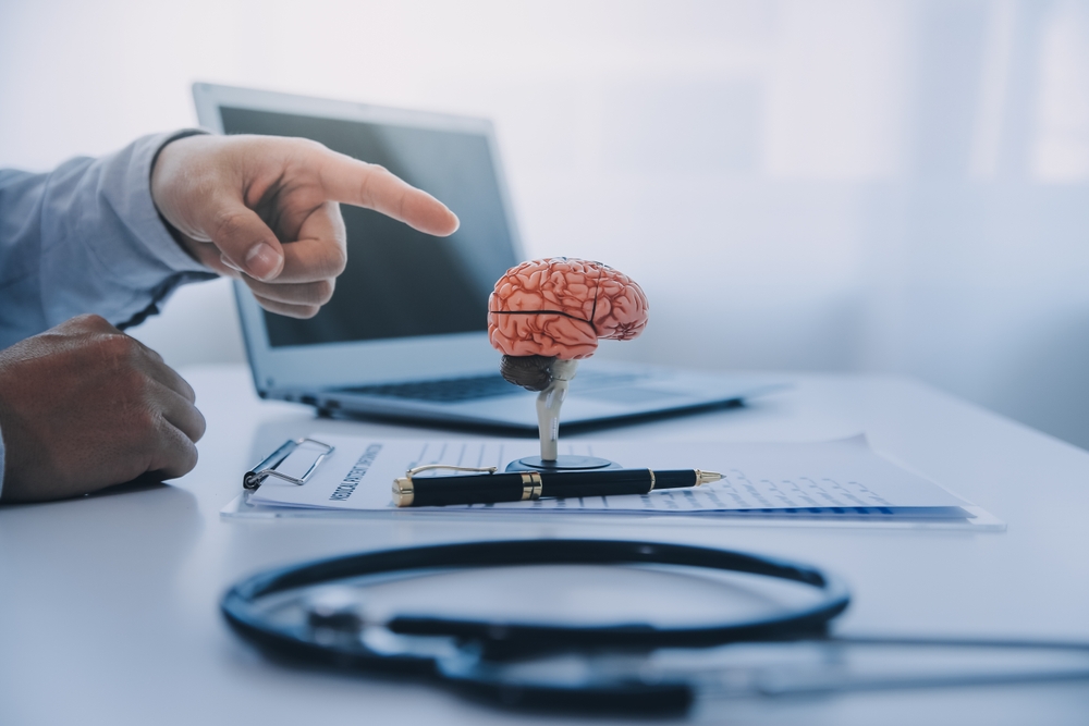 A doctor explaining brain functions to a patient using a model in an office.