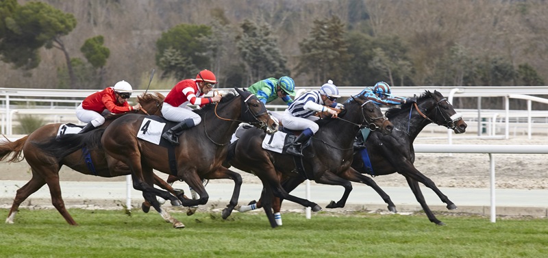 Jockeys racing horses on a turf track during an equestrian event